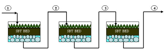 Phd thesis on phytoremediation